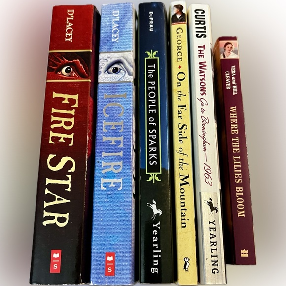 Fiction Book Lot of 6 Ice Fire Fire Star Chapter Like New Juvenile School - Picture 2 of 9